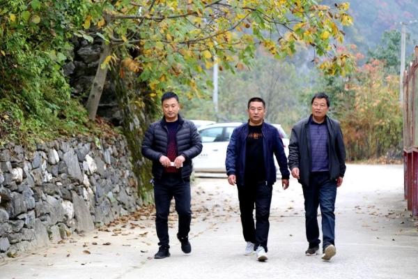 1667200127651558.jpg 6.jpg