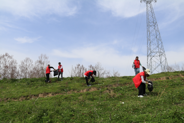 1680486897940781.png 圖5.png